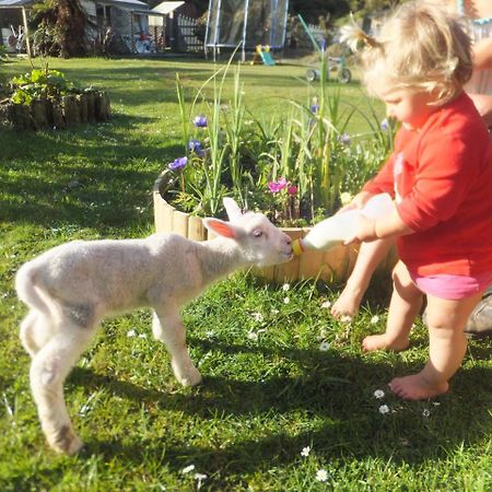 Little Paradise & Petting Farm Greymouth Eksteriør bilde