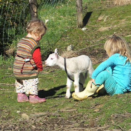 Little Paradise & Petting Farm Greymouth Eksteriør bilde