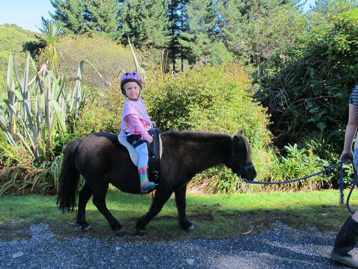 Little Paradise & Petting Farm Greymouth Eksteriør bilde