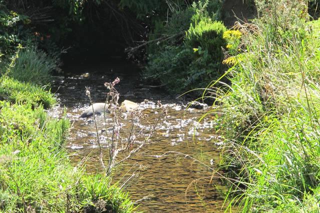 Little Paradise & Petting Farm Greymouth Eksteriør bilde