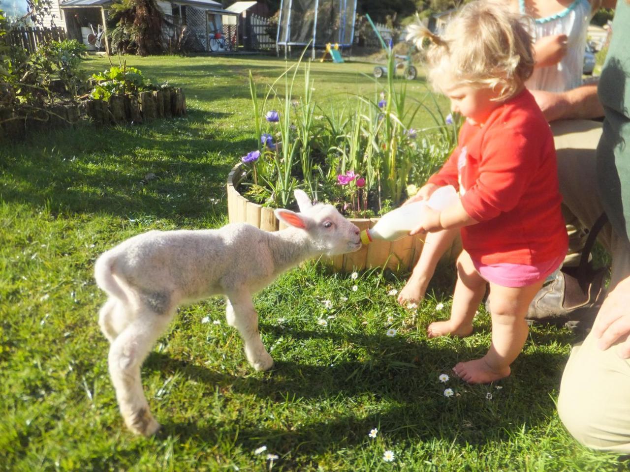 Little Paradise & Petting Farm Greymouth Eksteriør bilde