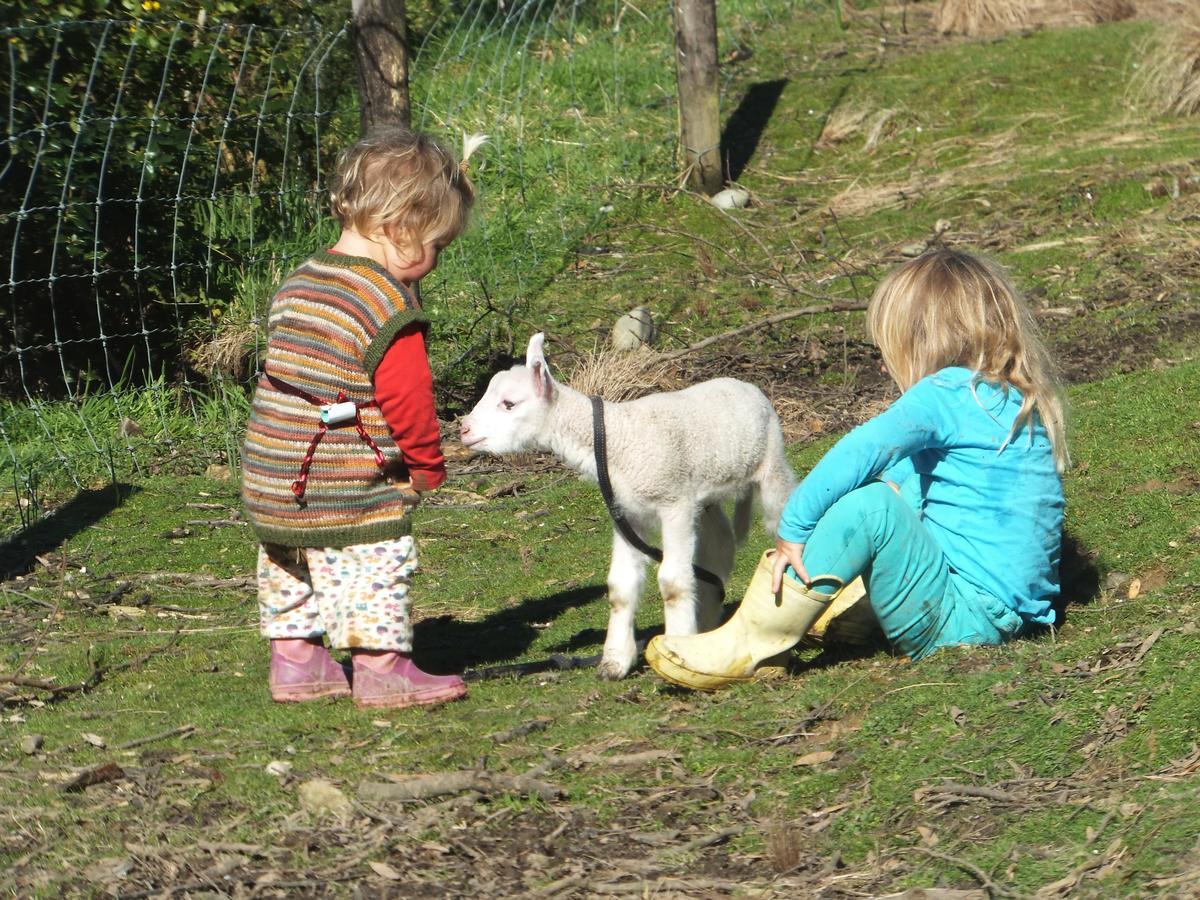 Little Paradise & Petting Farm Greymouth Eksteriør bilde